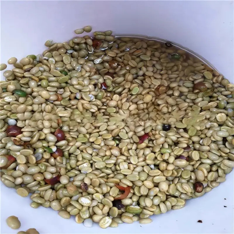 Specialty Parchment Coffee Roa - Coffee Equipment For Business 评论和价格